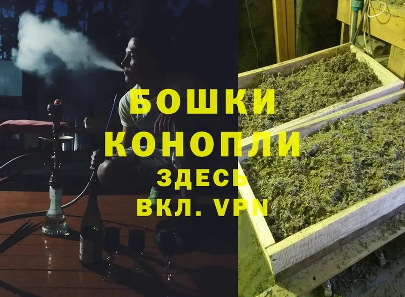 Канабис OG Kush  Порхов 